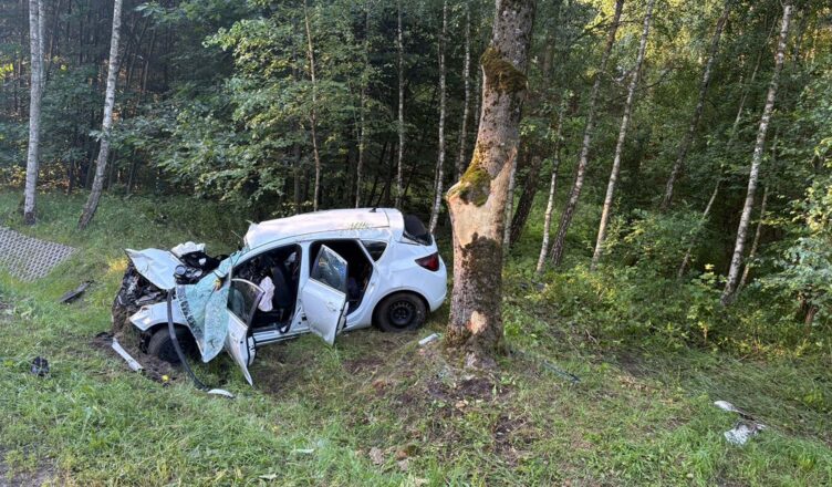 Poważny wypadek na drodze wojewódzkiej nr 632. Opel dachował po próbie ominięcia łosia