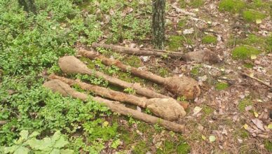 Policjanci zabezpieczyli niebezpieczne znalezisko – sześć granatników z czasów II wojny światowej