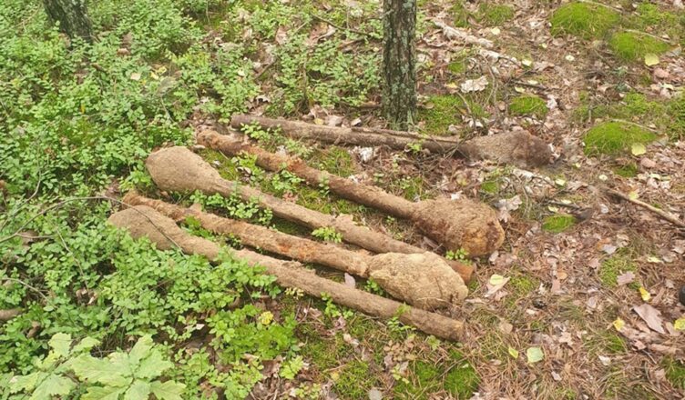 Policjanci zabezpieczyli niebezpieczne znalezisko – sześć granatników z czasów II wojny światowej