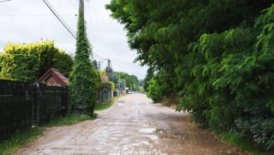 Rozpoczyna się budowa ulicy Kochanowskiego w Czarnej