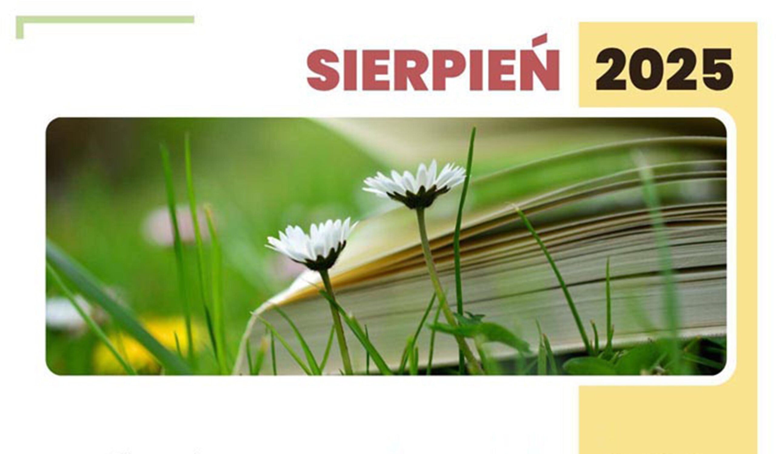 Wołomin - Sierpień w bibliotece