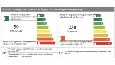 Jeden dom, dwie klasy energetyczne. Organizacje pozarządowe ostrzegają przed chaosem