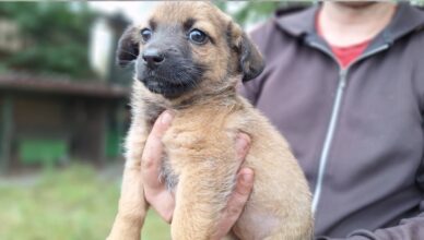 Ten maluch potrzebuje Twojej pomocy!