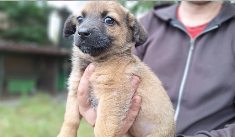 Ten maluch potrzebuje Twojej pomocy!