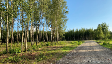 Przetarg na sprzedaż działki w Starym Kraszewie