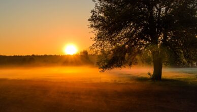 „Strażnicy natury” – powiat wyłonił laureatów konkursu fotograficznego
