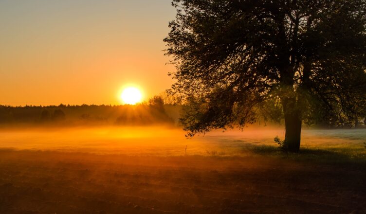 „Strażnicy natury” – powiat wyłonił laureatów konkursu fotograficznego