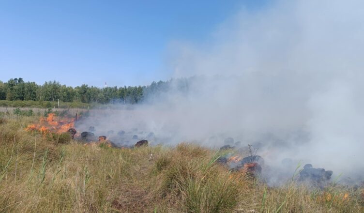 Pożar lasu w rezerwacie Grabicz