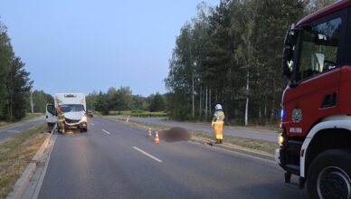 Zderzenie dostawczaka z koniem na DW635. Zwierzę nie przeżyło wypadku.