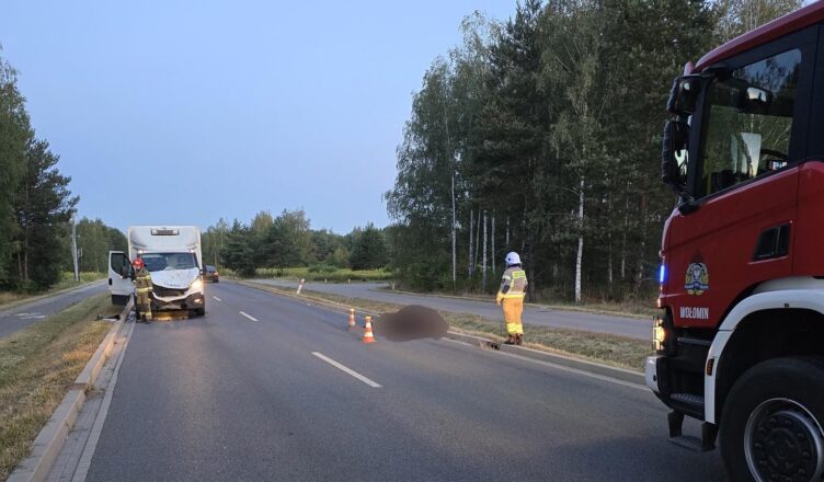 Zderzenie dostawczaka z koniem na DW635. Zwierzę nie przeżyło wypadku.