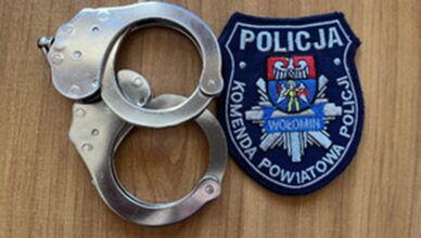 Policja poszukuje świadków kradzieży