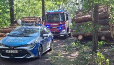 Wypadek w lesie. Drzewo przygniotło mężczyznę