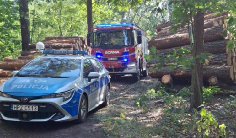 Wypadek w lesie. Drzewo przygniotło mężczyznę