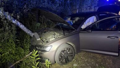 Osobówka uderzyła w drzewo
