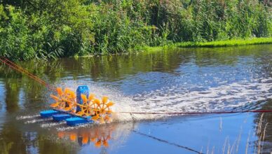 Aktualna sytuacja na rzece Wkrze. WIOŚ potwierdza przyczyny stanu wody