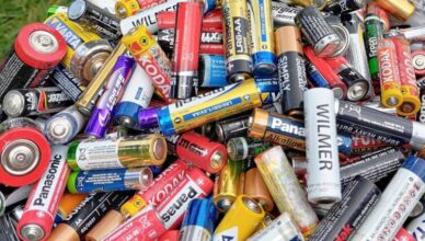 Marki - Zaadoptuj roślinkę - oczyść powietrze w domu