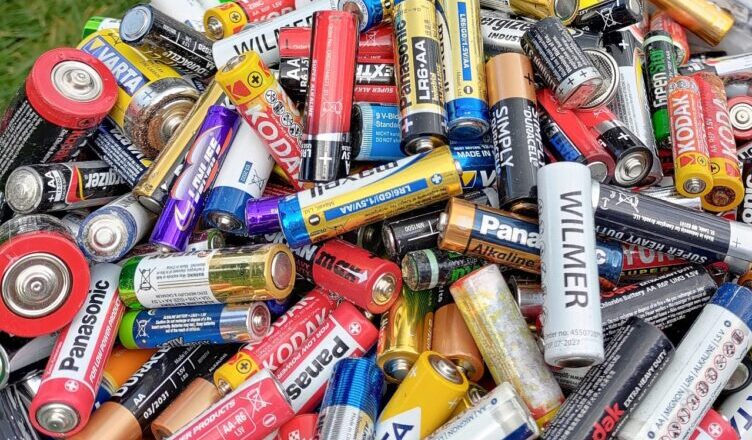 Marki - Zaadoptuj roślinkę - oczyść powietrze w domu