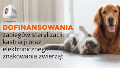 Zielonka - Dofinansowanie zabiegów sterylizacji, kastracji i elektronicznego znakowania zwierząt