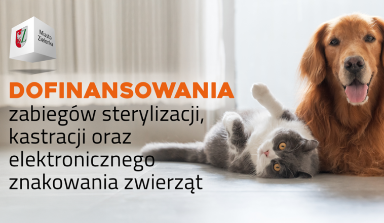 Zielonka - Dofinansowanie zabiegów sterylizacji, kastracji i elektronicznego znakowania zwierząt