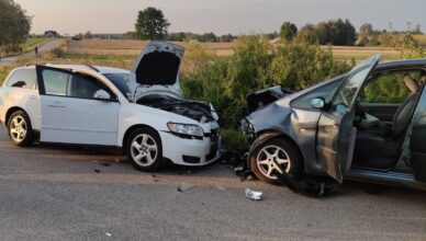Zdarzenie drogowe pomiędzy miejscowościami Zasiadały i Brzegi