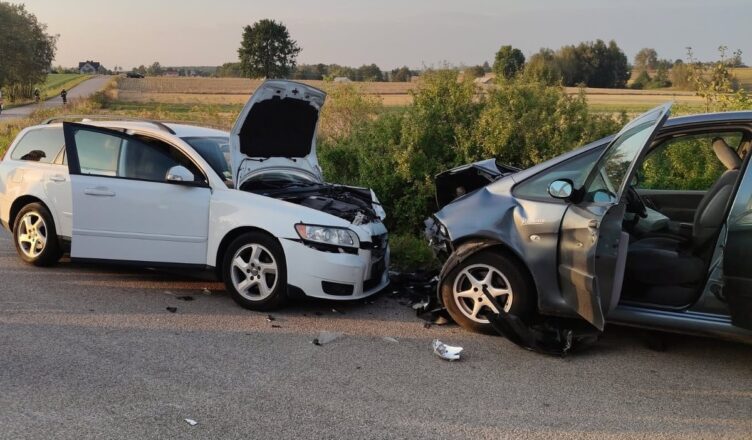 Zdarzenie drogowe pomiędzy miejscowościami Zasiadały i Brzegi
