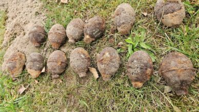 Niebezpieczne znalezisko podczas prac ogrodniczych. Miejsce zabezpieczają policjanci