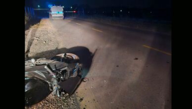 Dziki wbiegły przed motocykl. Dzikie zwierzęta na drogach – zagrożenie, którego nie wolno lekceważyć