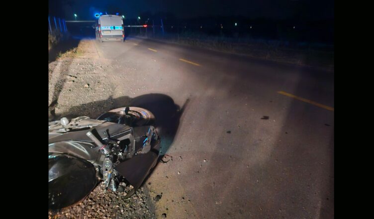 Dziki wbiegły przed motocykl. Dzikie zwierzęta na drogach – zagrożenie, którego nie wolno lekceważyć