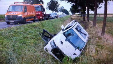 Wypadł z drogi i uderzył w drzewa