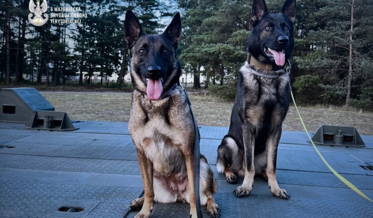 Psy służbowe z 5 Mazowieckiej Brygady Obrony Terytorialnej na międzynarodowych ćwiczeniach