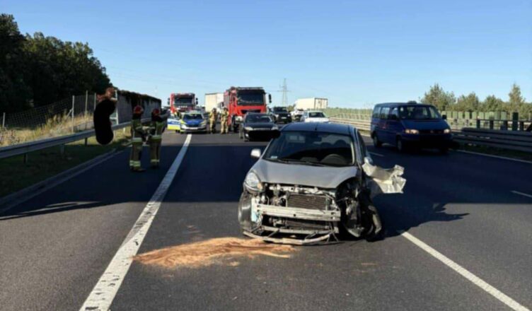 Zderzenie na trasie S8 w Markach. Utrudnienia i szybka interwencja służb