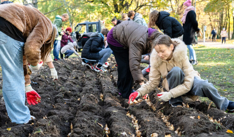 Zielonka - Jesienne sadzenie żonkili – symbol siły i nadziei