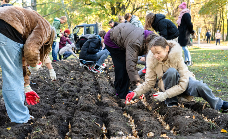 Zielonka - Jesienne sadzenie żonkili – symbol siły i nadziei