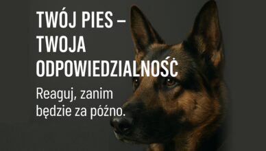 Policjanci przypominają – właściciel odpowiada za swojego psa!