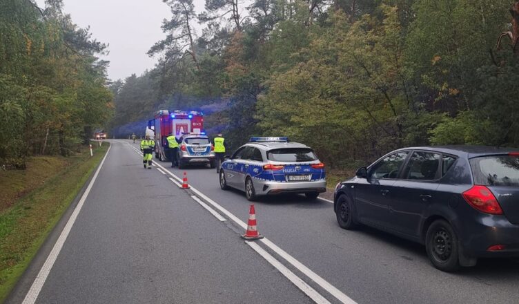 Śmiertelny wypadek na DK 48