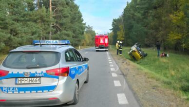 Dachowanie w Młynarzach