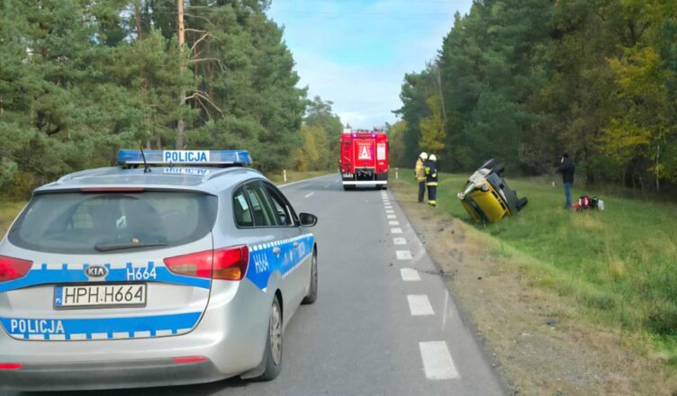 Dachowanie w Młynarzach