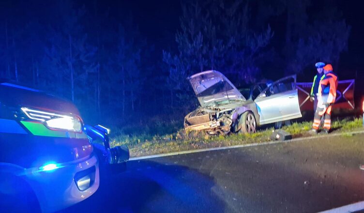 Tragiczny wypadek na DW694 - osobówka wpadła do rowu - jedna osoba zginęła, druga została ranna