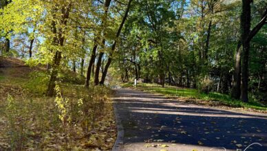 Zielonka stawia na zrównoważony rozwój. Park przy DPS zyskał nową jakość