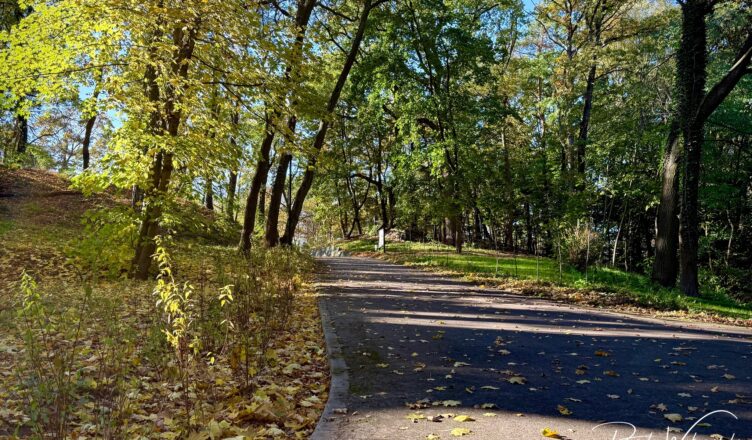 Zielonka stawia na zrównoważony rozwój. Park przy DPS zyskał nową jakość