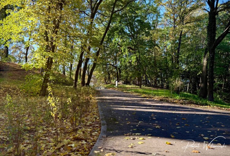 Zielonka stawia na zrównoważony rozwój. Park przy DPS zyskał nową jakość