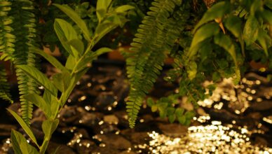 Oświetlenie rabatek kwiatowych – jak je zaplanować?