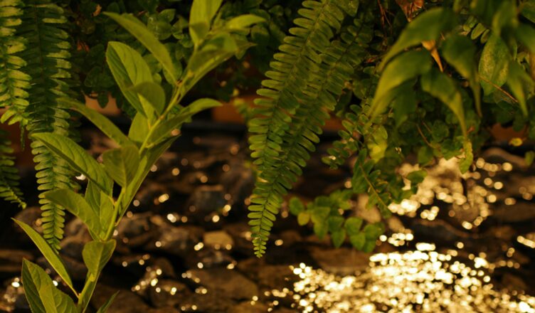 Oświetlenie rabatek kwiatowych – jak je zaplanować?