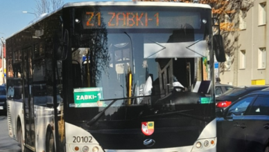 We Wszystkich Świętych na cmentarze dojedziesz autobusem