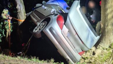 Próbował ominąć sarnę - wylądowała między drzewami