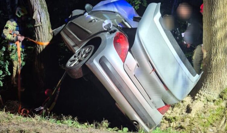 Próbował ominąć sarnę - wylądowała między drzewami