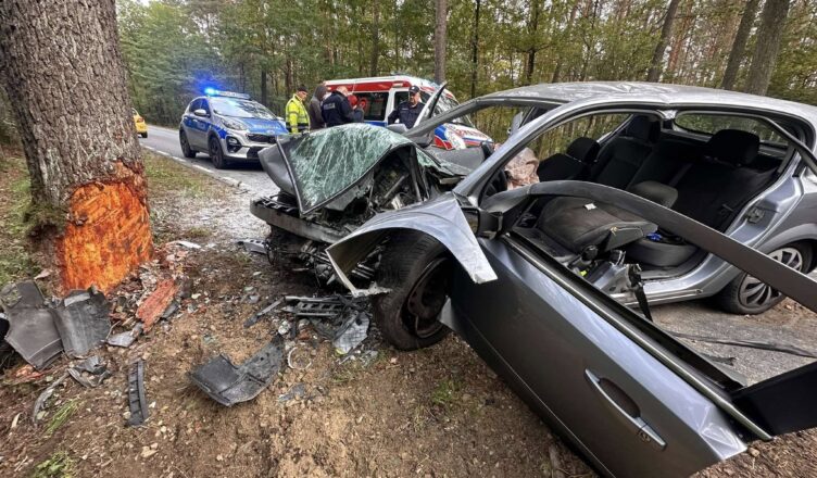 Policja poszukuje świadków wypadku drogowego