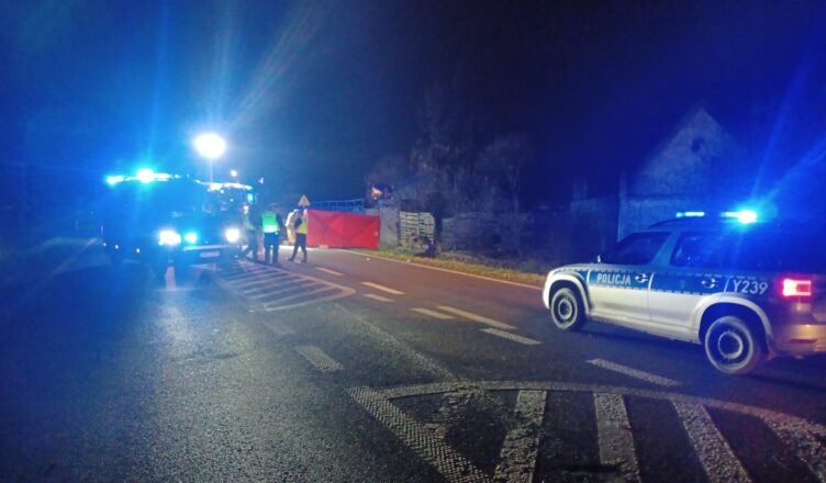 Tragiczny wypadek na krajowej 10 - 34-letni kierujący audi potrącił 46-letnią pieszą