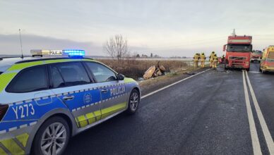Tragiczny wypadek na DK50. Czołowe zderzenie osobówki z ciężarówką.