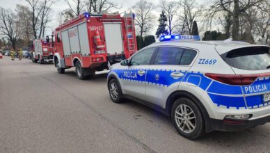 Groźne zderzenie w Sulejowie. Działania służb na miejscu kolizji.